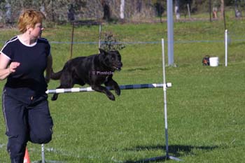 IMG_1112a